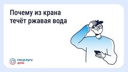 ������ ���� �� �����: ��� ������ � ���� ����������