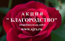 ����� �������������: ������ ����� ������!