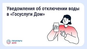 ���������� ���: ��� ��������� ������ ���������� ������� ����