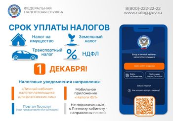 1 декабря срок уплаты налогов